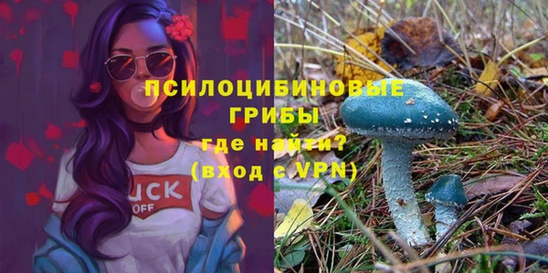 тгк Алзамай