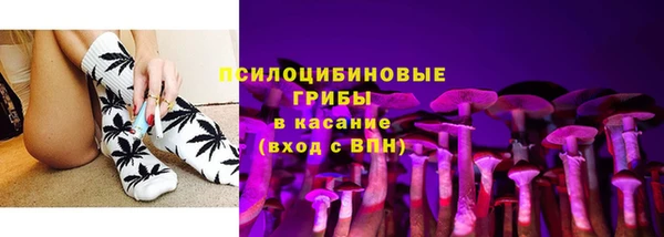 тгк Алзамай