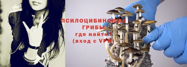тгк Алексеевка
