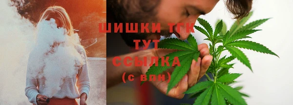 тгк Алзамай