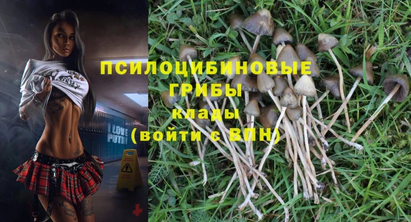 тгк Алзамай