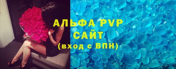 крисы Алексин