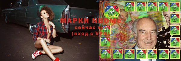 сатива Инсар